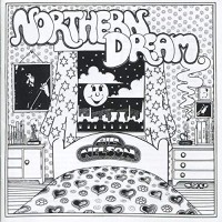 Purchase Bill Nelson - Northern Dream (Vinyl)