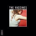 Buy Vaccines - What Did You Expect From The Vaccines? Mp3 Download