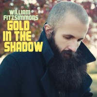 Purchase William Fitzsimmons - Gold In The Shadow CD1