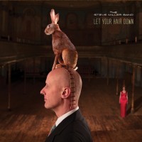 Purchase Steve Miller Band - Let Your Hair Down