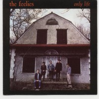 Purchase The Feelies - Only Life