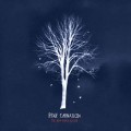 Buy Pixie Carnation - The New World Record Mp3 Download