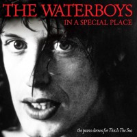 Purchase The Waterboys - In A Special Place