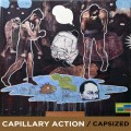 Buy Capillary Action - Capsized Mp3 Download