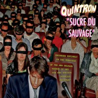 Purchase Quintron - Sucre Du Sauvage