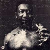 Purchase Muddy Waters - After The Rain