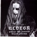 Buy Ulvegr - Where The Icecold Blood Storms Mp3 Download