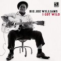 Buy Big Joe Williams - I Got Wild Mp3 Download