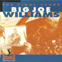 Purchase Big Joe Williams - The Final Years