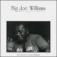 Purchase Big Joe Williams - Watergate Blues