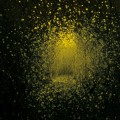Buy The Antlers - Burst Apart Mp3 Download