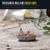 Buy Thousands Millions - Rock Days Mp3 Download