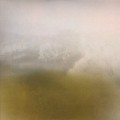 Buy Richard Skelton - Landings Mp3 Download