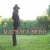 Buy Matraca Berg - The Dreaming Fields Mp3 Download