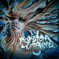 Buy The Ghost Of A Campaigner - Anthropomorphic Mp3 Download