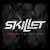 Buy Skillet - Comatose (Deluxe Edition) Mp3 Download