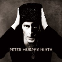 Purchase Peter Murphy - Ninth