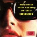 Buy bROOd - Beyond The Valley Of The Brood Mp3 Download