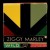 Buy Ziggy Marley - Wild and Free Mp3 Download
