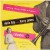Purchase Doris Day & Harry James- Young Man With A Horn MP3