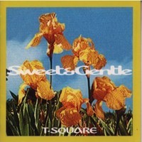 Purchase T-Square - Sweet & Gentle