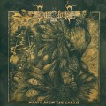 Buy Svartsyn - Wrath Upon The Earth Mp3 Download