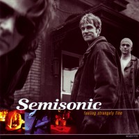 Purchase Semisonic - Feeling Strangely Fine