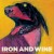 Buy Iron & Wine - The Shepherd's Dog Mp3 Download