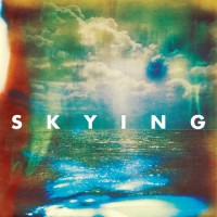 Purchase The Horrors - Skying