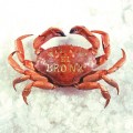 Buy Mariachi El Bronx - Mariachi El Bronx Mp3 Download