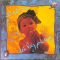Buy David Cross - The Big Picture Mp3 Download