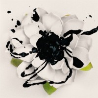 Purchase Eyes Set To Kill - White Lotus