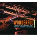 Buy Deep Blue Organ Trio - Wonderful! Mp3 Download