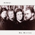 Buy Mr. Mister - The Best Mp3 Download
