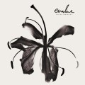 Buy Evaline - Woven Material Mp3 Download