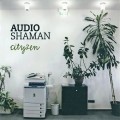 Buy Audio Shaman - Cityzen Mp3 Download