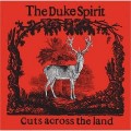 Buy The Duke Spirit - Cuts Across The Land Mp3 Download