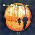 Buy Widespread Panic - Ball Mp3 Download