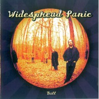 Purchase Widespread Panic - Ball