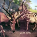 Buy Beware Of Safety - Leaves & Scars Mp3 Download