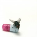 Buy Red Hot Chili Peppers - I'm With You Mp3 Download
