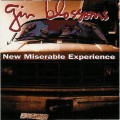 Buy Gin Blossoms - New Miserable Experience Mp3 Download
