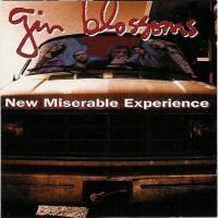 Purchase Gin Blossoms - New Miserable Experience