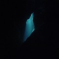 Buy Balam Acab - Wander / Wonder Mp3 Download