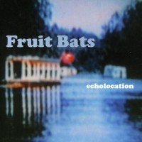 Purchase Fruit Bats - Echolocation