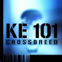 Purchase Crossbreed - KE 101