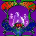 Buy Gov't Mule - Live At Roseland Ballroom Mp3 Download