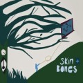 Buy David J. Roch - Skin And Bones Mp3 Download