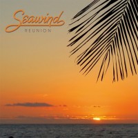 Purchase Seawind - Reunion
