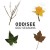 Buy Oddisee - Odd Seasons Mp3 Download
